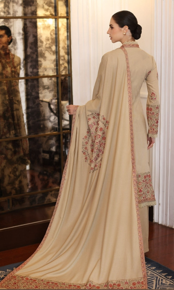 Dhanak 3PC Embroidered With dhanak Embroidered shwall BR660