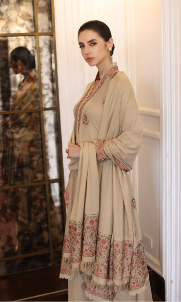 Dhanak 3PC Embroidered With dhanak Embroidered shwall BR660